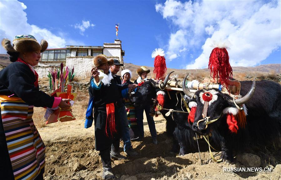 Традиционные весенние обряды в сельскохозяйственных районах Тибетского АР