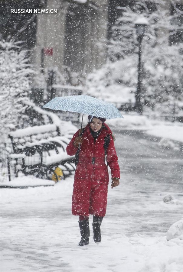 （国际）（3）纽约再次遭遇暴风雪天气