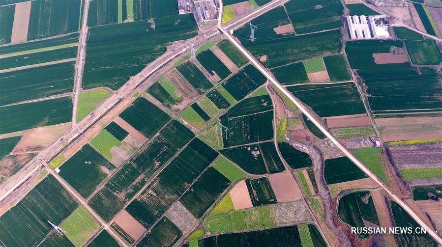 Лоскутное одеяло весенних полей в Центральном Китае