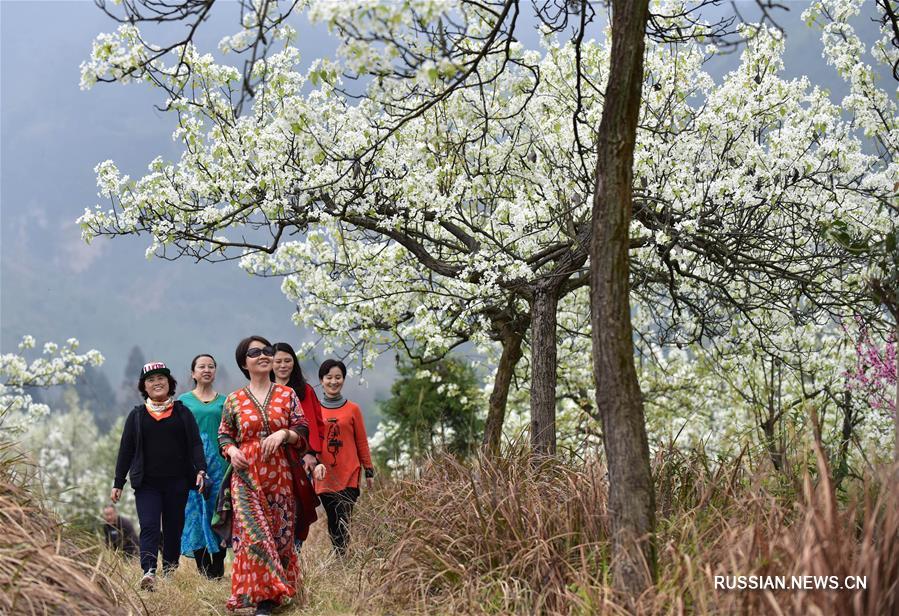 Весна в сычуаньских горах