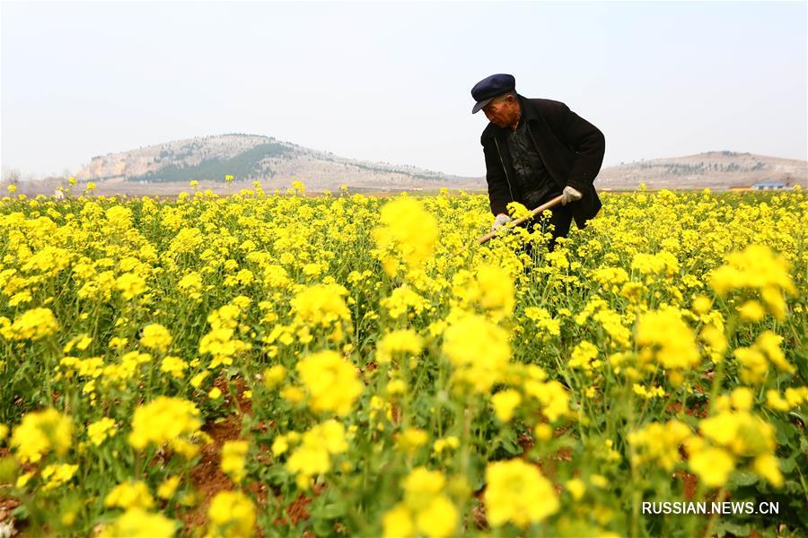 Весенние хлопоты китайских фермеров