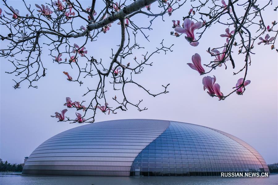 Весна в китайской столице