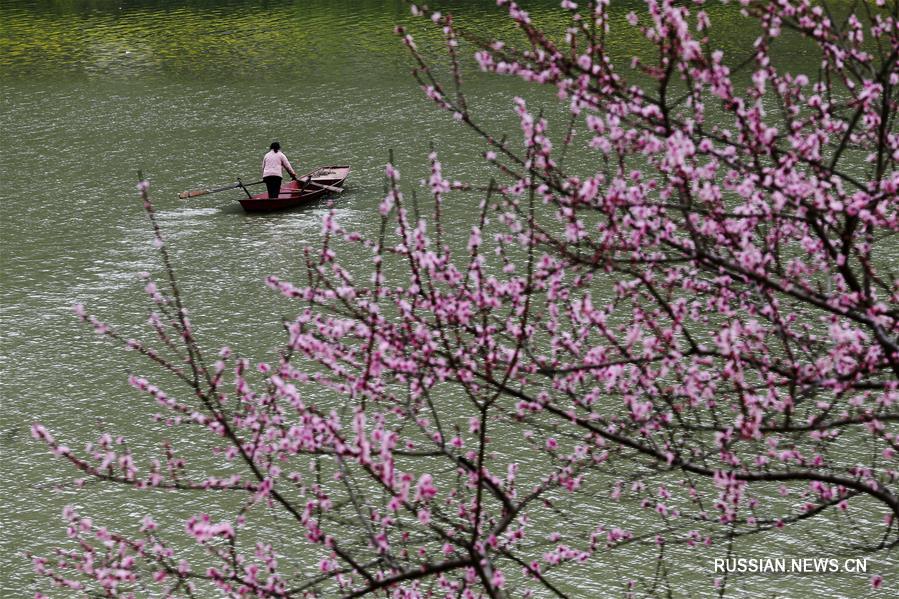 Весенний день на реке в Чунцине