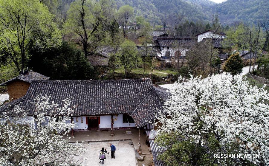 Весенные пейзажи в провинции Шэньси