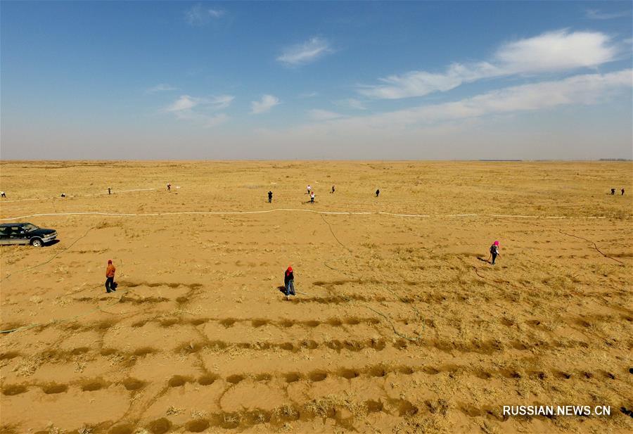 Озеленительные работы в пустыне Улан-Бух