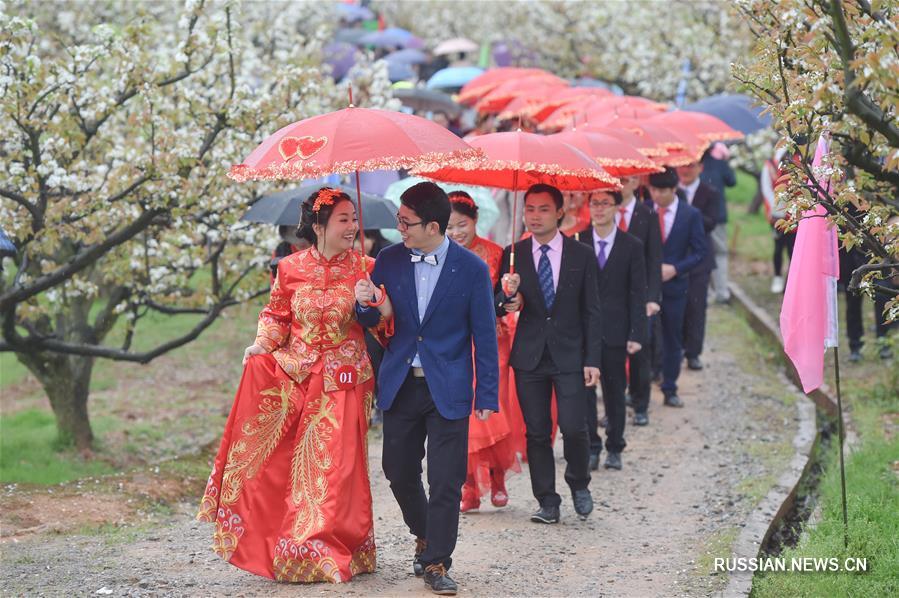 Коллективная свадьба среди цветущих груш