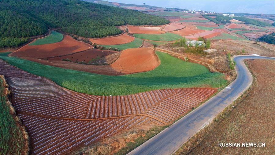 Юньнаньские красноземы весной