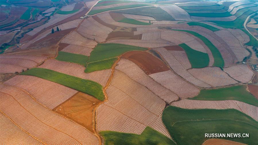 Юньнаньские красноземы весной