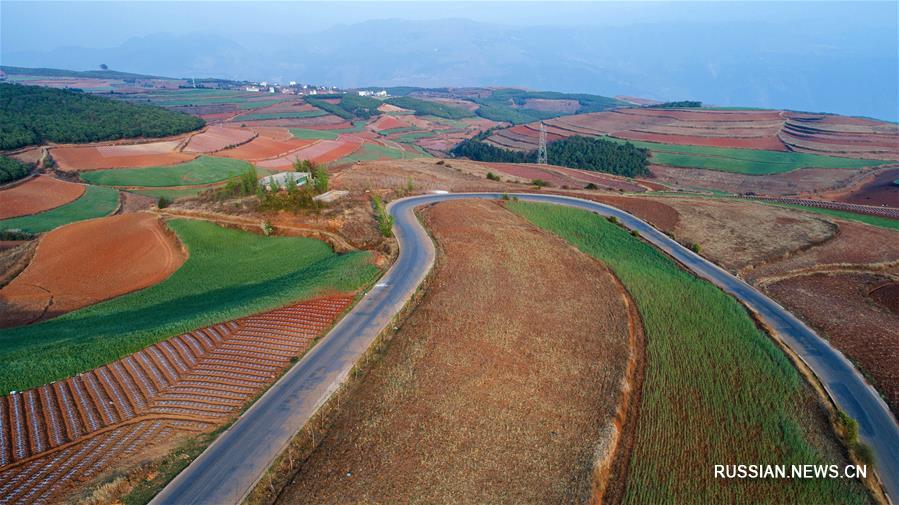 Юньнаньские красноземы весной