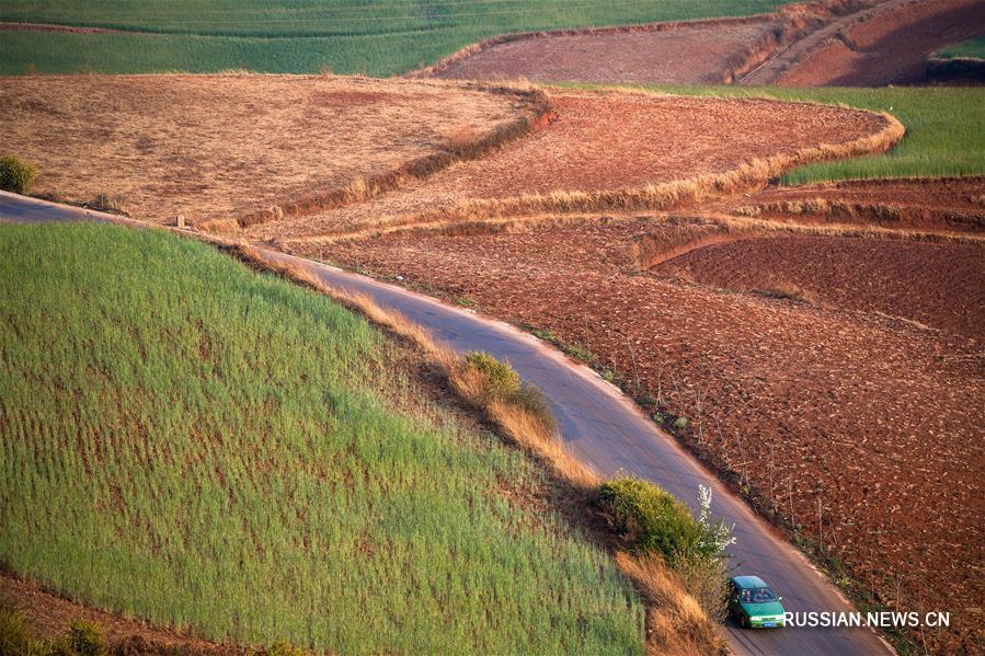 Юньнаньские красноземы весной