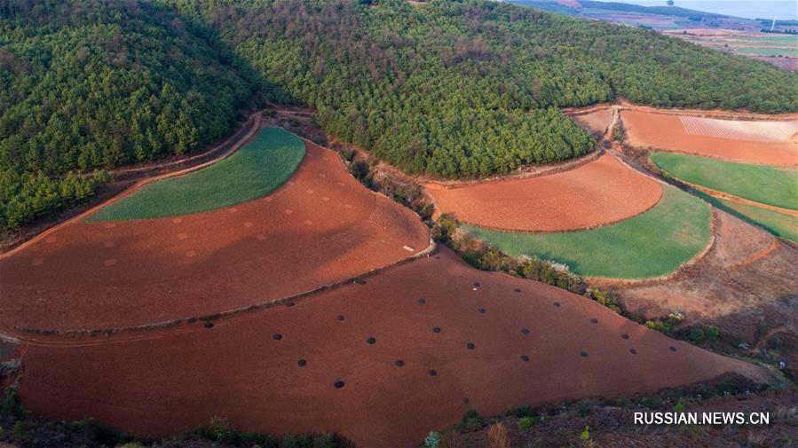 Юньнаньские красноземы весной