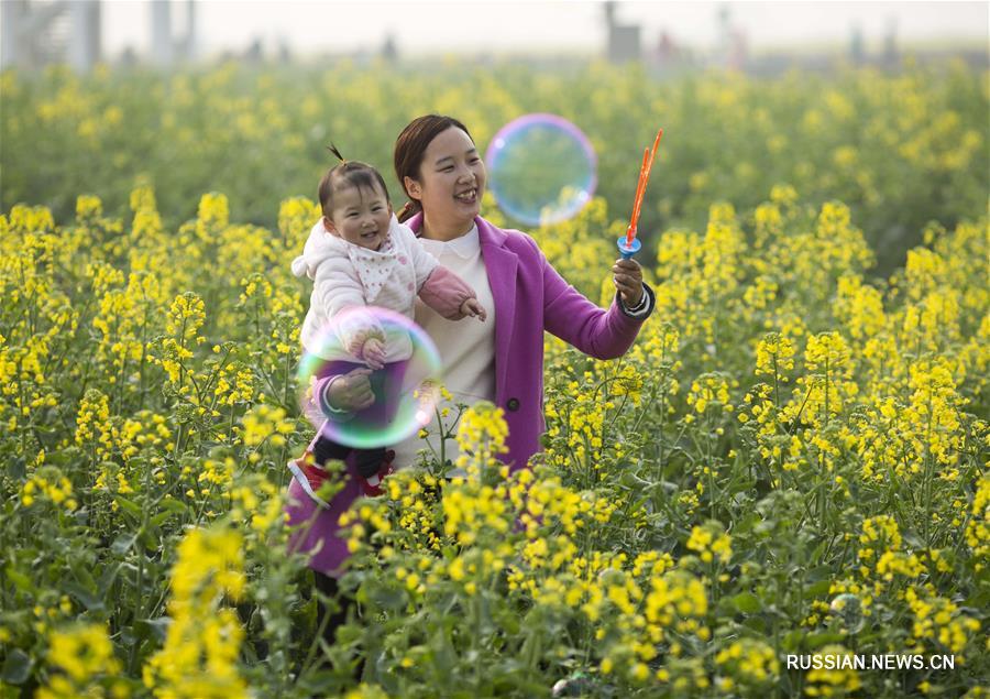 В Китае наступила пора массового весеннего цветения