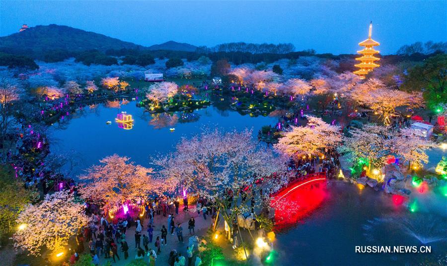 Цветущий вишневый сад у озера Дунху