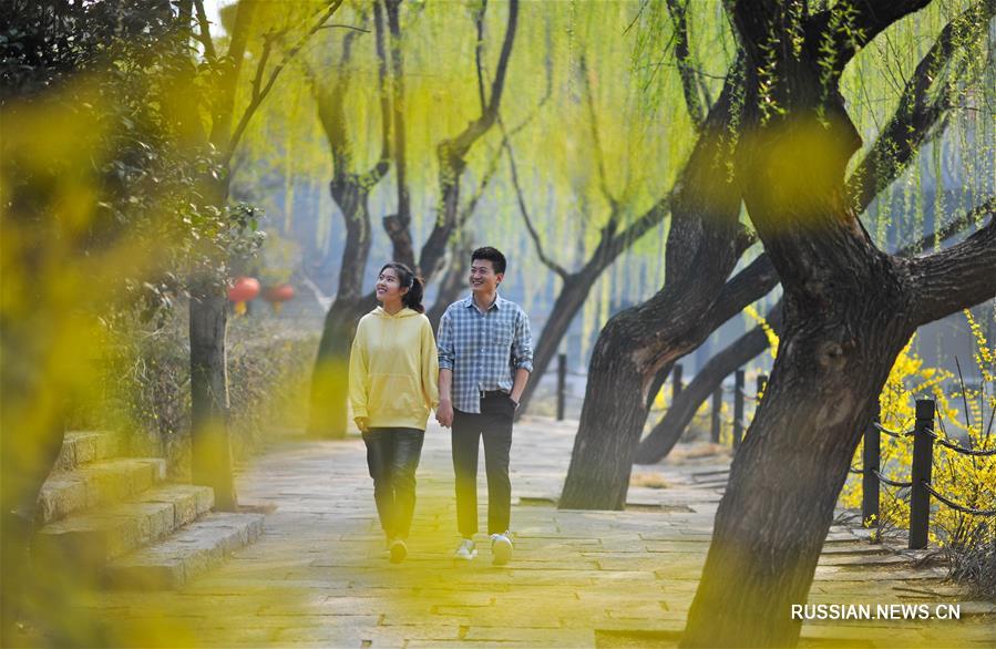 Весна радует приятной погодой жителей Китая
