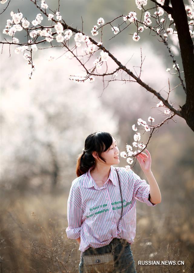 Весна радует приятной погодой жителей Китая
