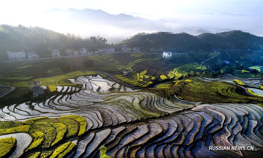 Террасированные поля в провинции Шэньси
