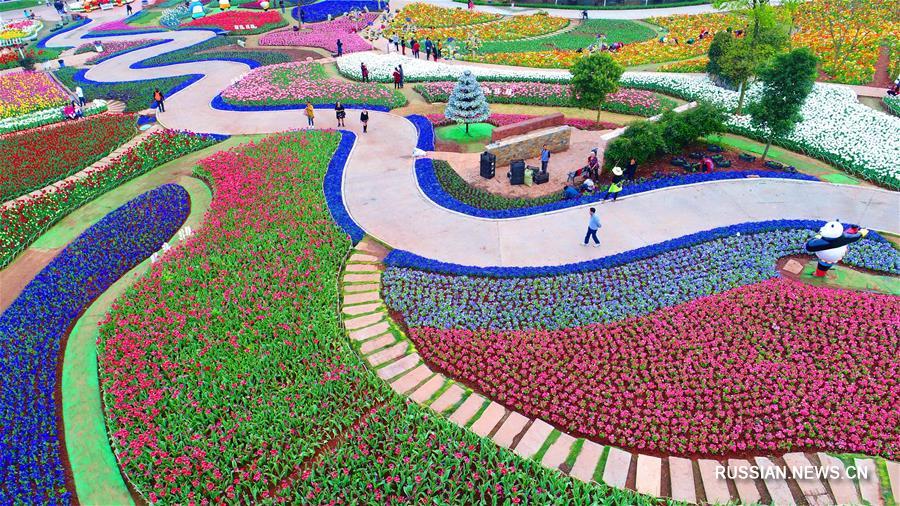 Лучшие дни для прогулок на свежем воздухе