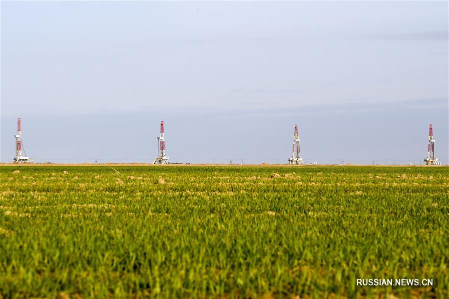Началась тестовая разработка месторождения нефти плотных коллекторов в уезде Джимсар