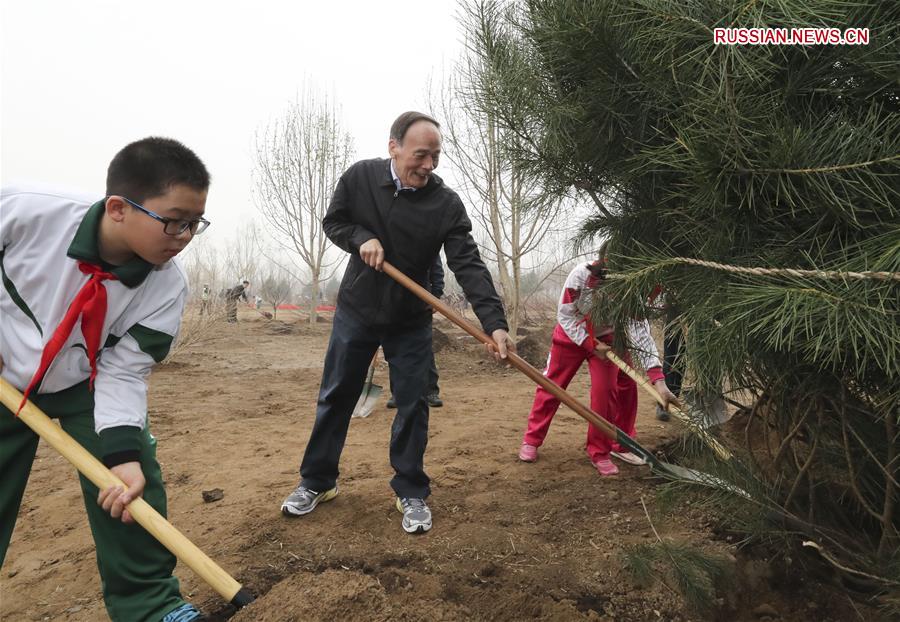 Руководители Китая приняли участие в добровольной посадке деревьев