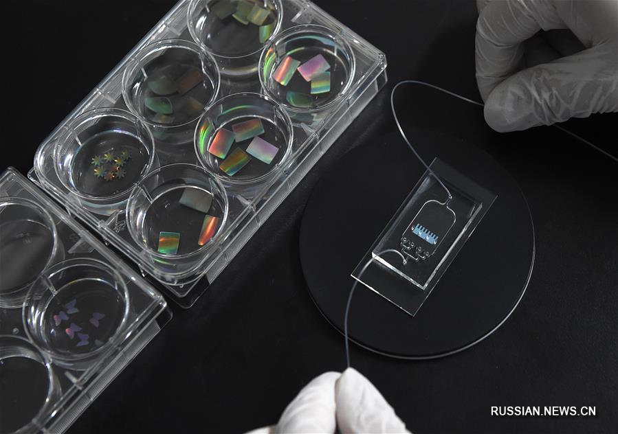 Китайские ученые изобрели "сердечный чип", способный менять цвета