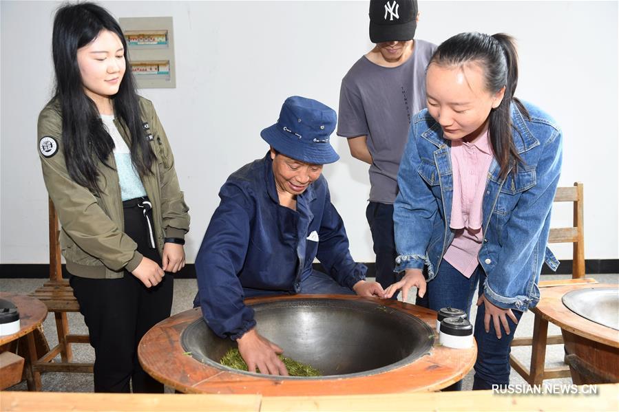 Сбор и производство "доцинминского" чая "Дафо лунцзин" в уезде Синьчан