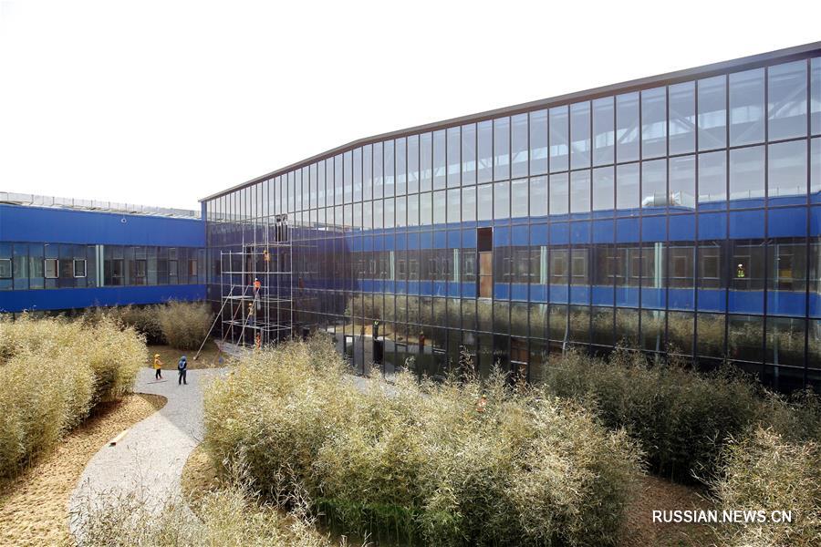 В новом районе Сюнъань завершается строительство центра услуг населению