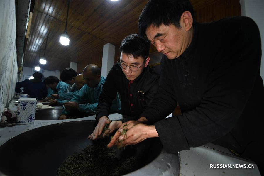 Семья производителей традиционного чая билочунь из Сучжоу