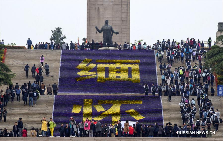 Памятные мероприятия накануне праздника Цинмин