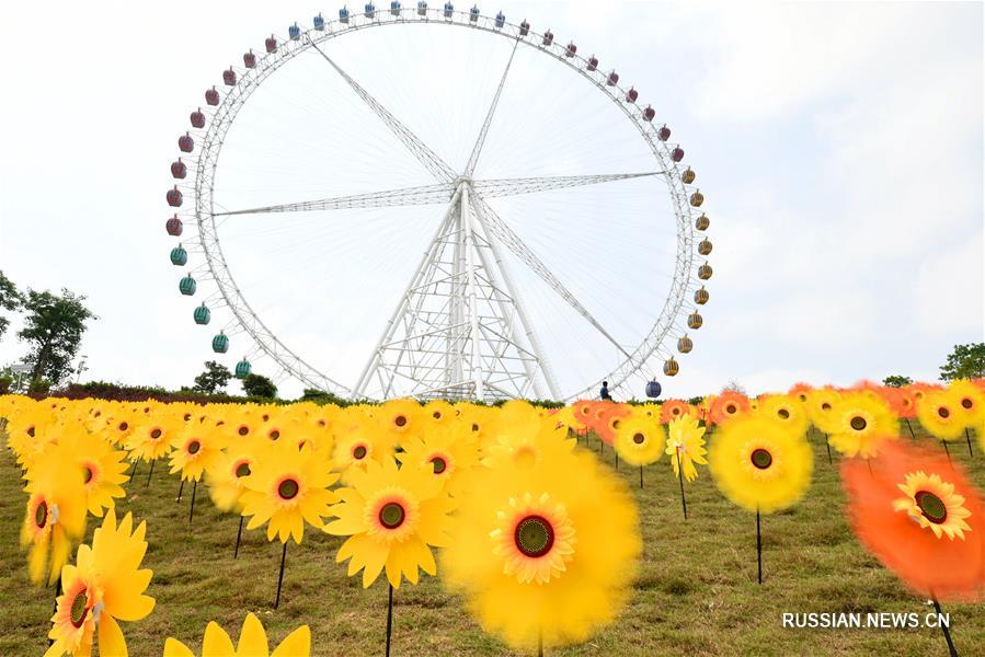 В одном из парков Лючжоу установили 500 тыс разноцветных вертушек в форме цветов