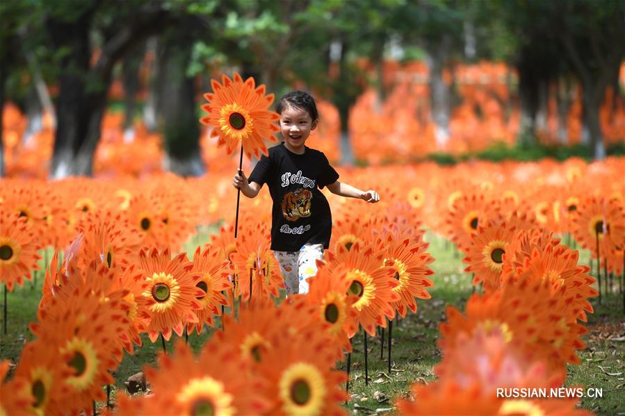 В одном из парков Лючжоу установили 500 тыс разноцветных вертушек в форме цветов