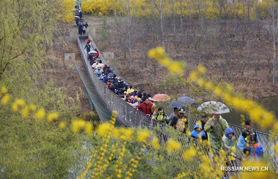 По случаю праздника Цинмин китайцы выезжают на природу, чтобы насладиться великолепными  весенними пейзажами 