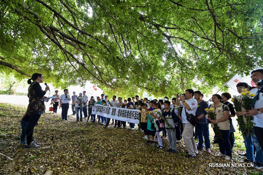 Акция памяти медицинских доноров "Древо света" в Шэньчжэне