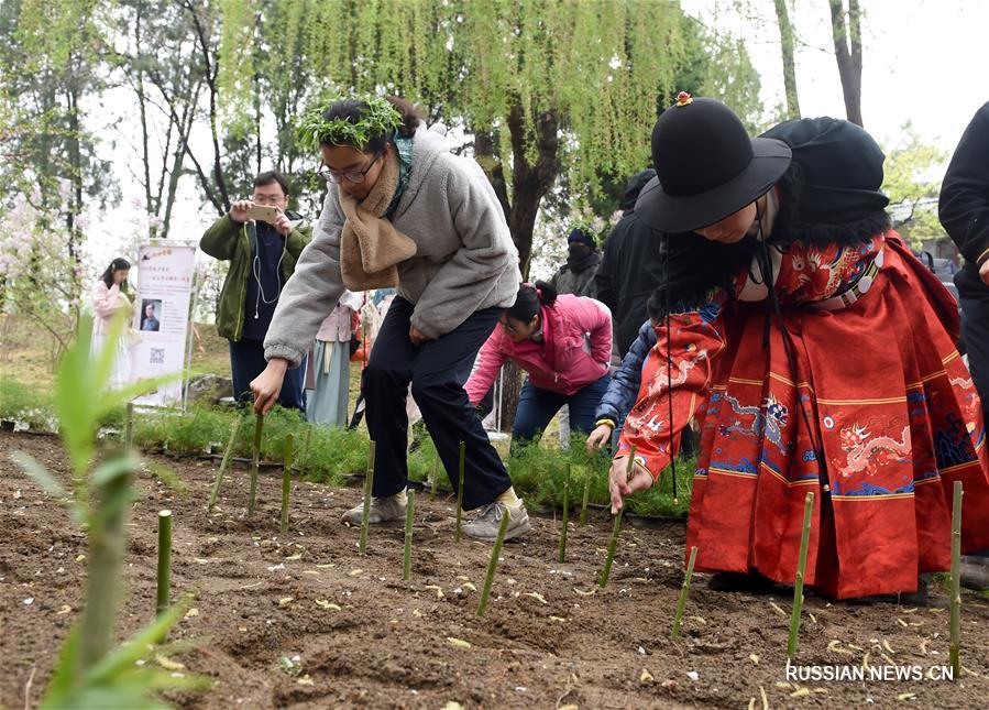 В пекинском парке "Люинь" проходит Культурный фестиваль ивы