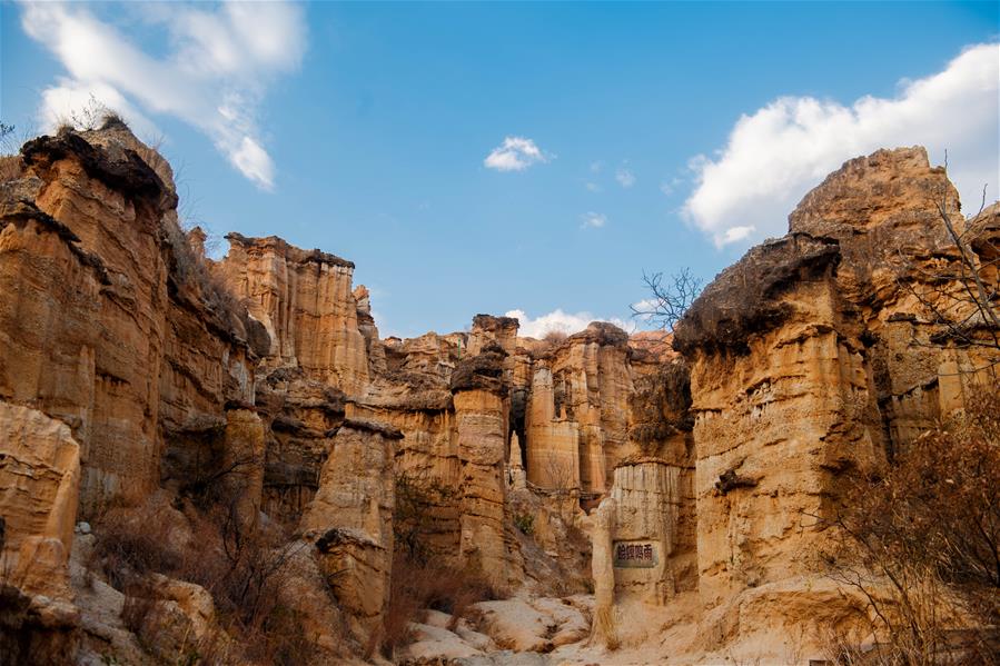 "Земляной лес" в провинции Юньнань  