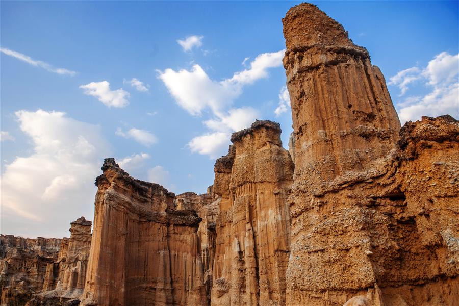 "Земляной лес" в провинции Юньнань  