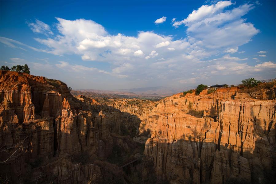 "Земляной лес" в провинции Юньнань  