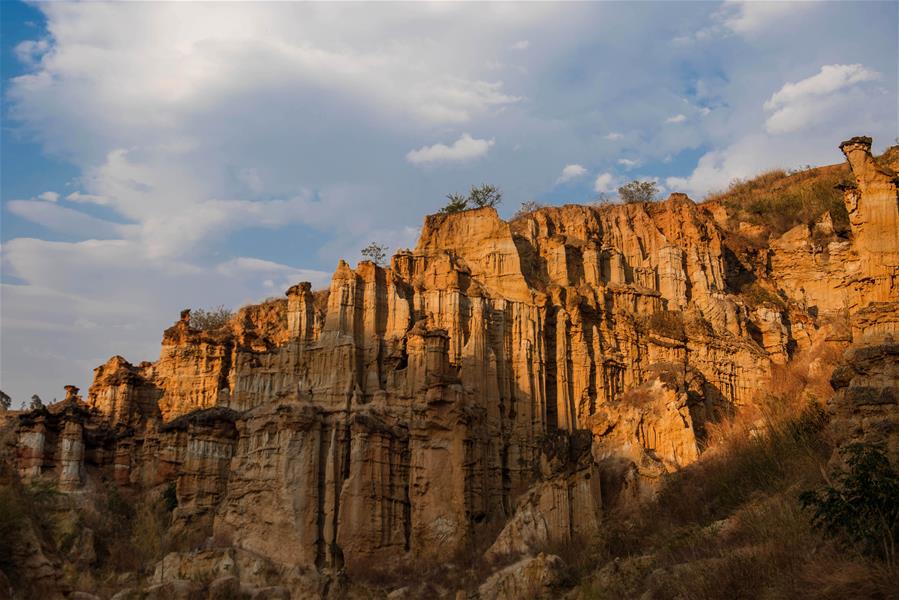 "Земляной лес" в провинции Юньнань  