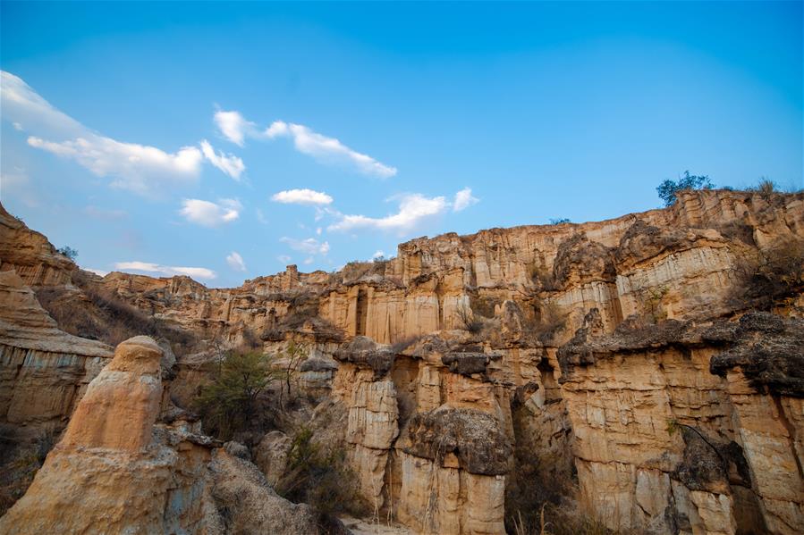 "Земляной лес" в провинции Юньнань  