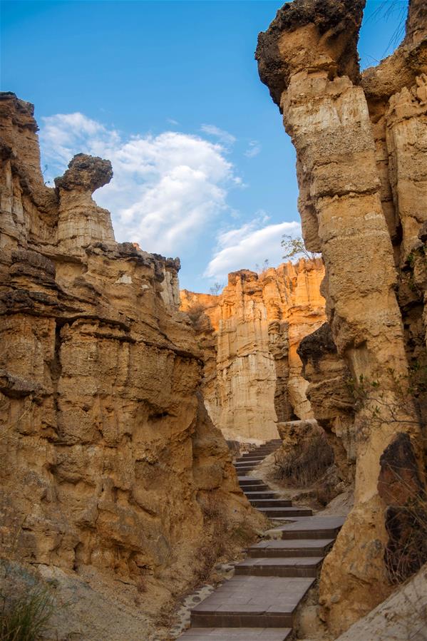 "Земляной лес" в провинции Юньнань  