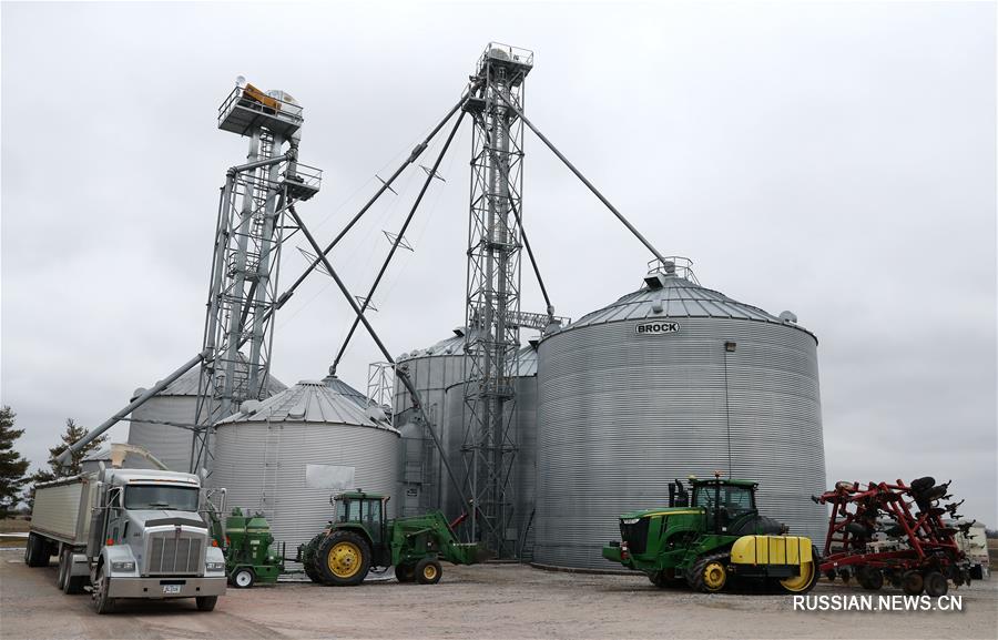 Американские производители сои боятся стать жертвой торговых трений между Китаем и США
