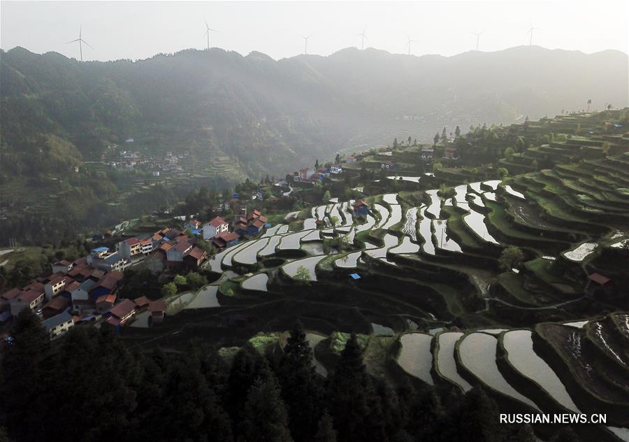 Полевые работы в сезон "цинмин" китайского сельскохозяйственного календаря