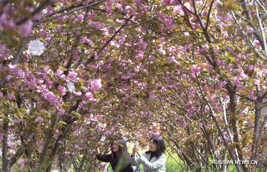 Отдых на природе в дни праздника Цинмин