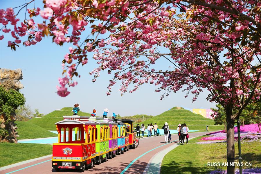 Узорные цветочные ковры в ботаническом саду Наньтуна