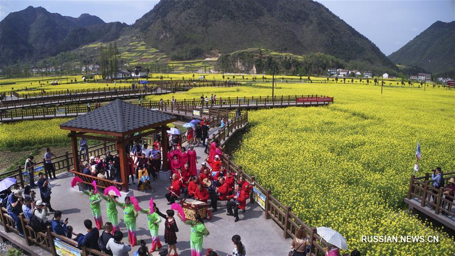 Море цветов помогает китайским деревням развивать туризм и связанные с ним отрасли