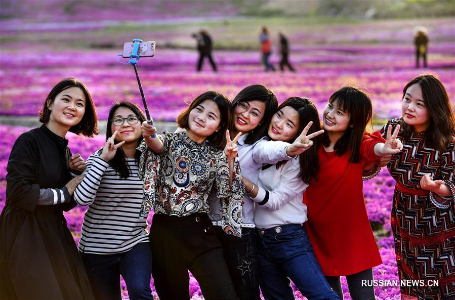 28 га пустырей стали цветущим садом в провинции Аньхой 