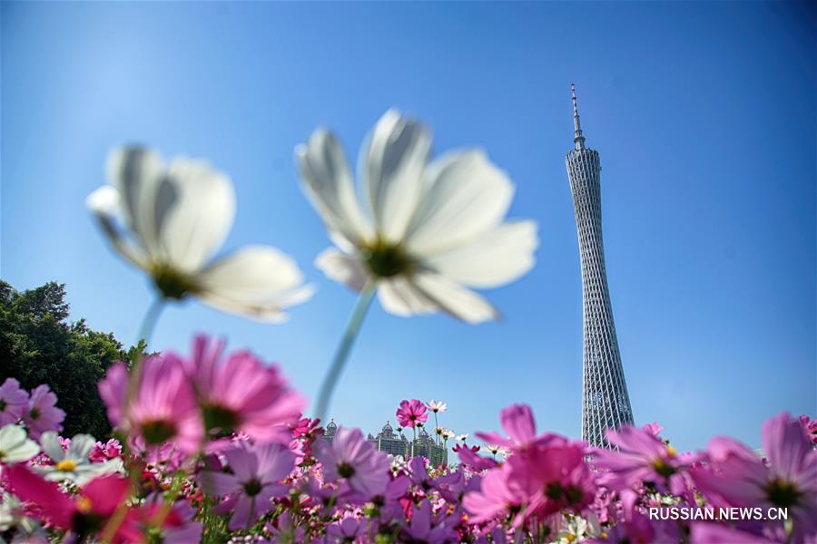 Гуанчжоу -- город цветов