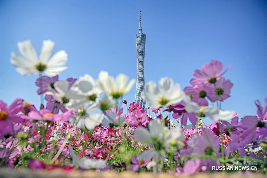 Гуанчжоу -- город цветов