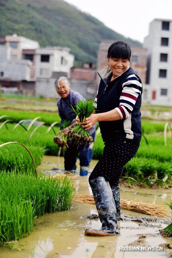 Пахотно-посевные работы в уезде Дахуа