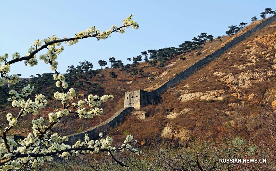 Весна на Великой китайской стене 