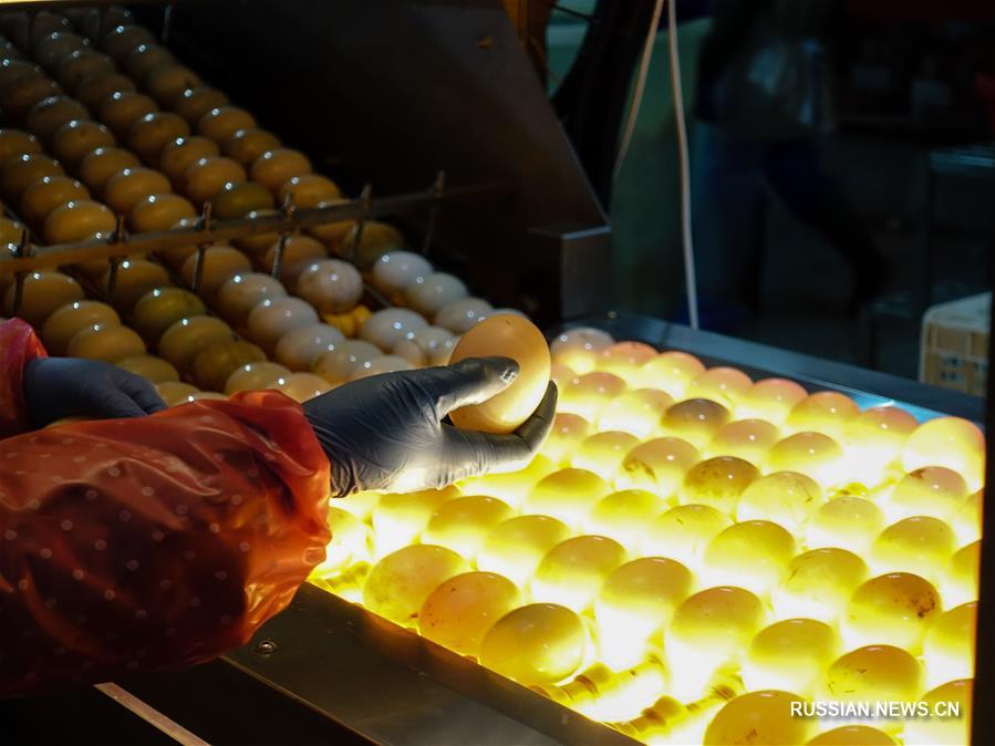 Производство засоленных утиных яиц в провинции Цзянсу 